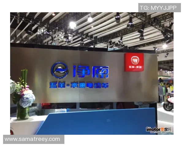 年轻化战略成功转型的典范案例分析与启示探讨